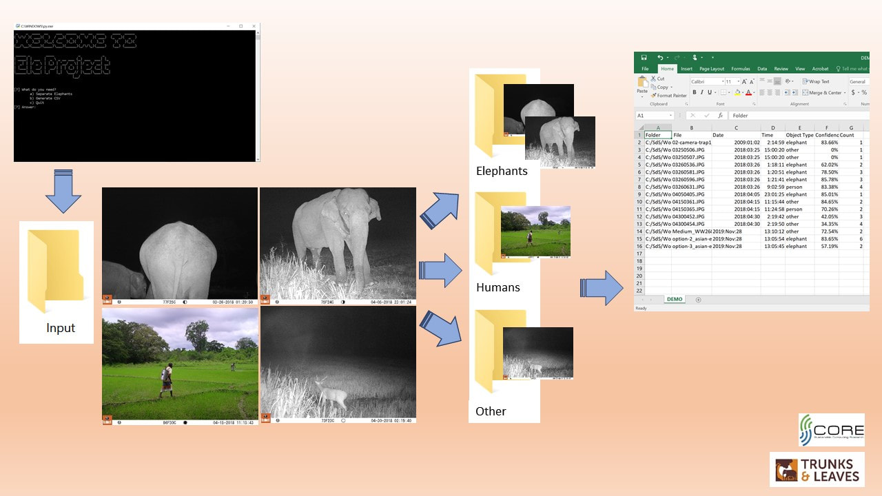 Artificial Intelligence for camera trap photo classification
