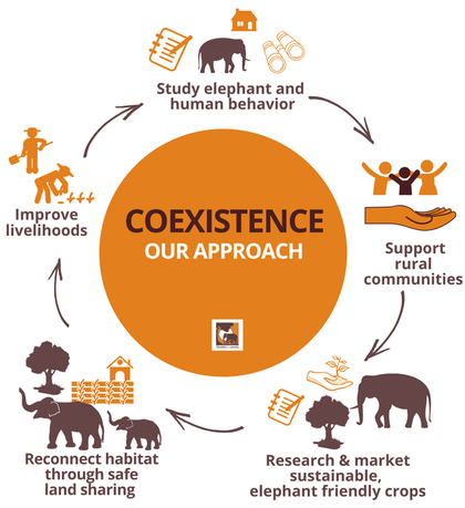 Trunks and Leaves Approach to human-elephant conflict and coexistence.